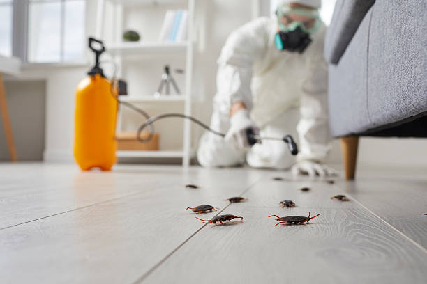 Trusted Termite Control service in Santa Rosa, CA - Nex Pest Control