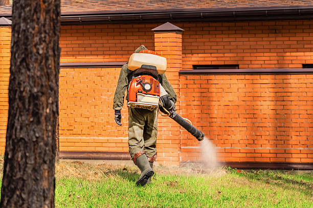 Trusted Rodent Control service in Santa Rosa, CA - Nex Pest Control